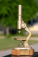 Das Goldene Mikroskop