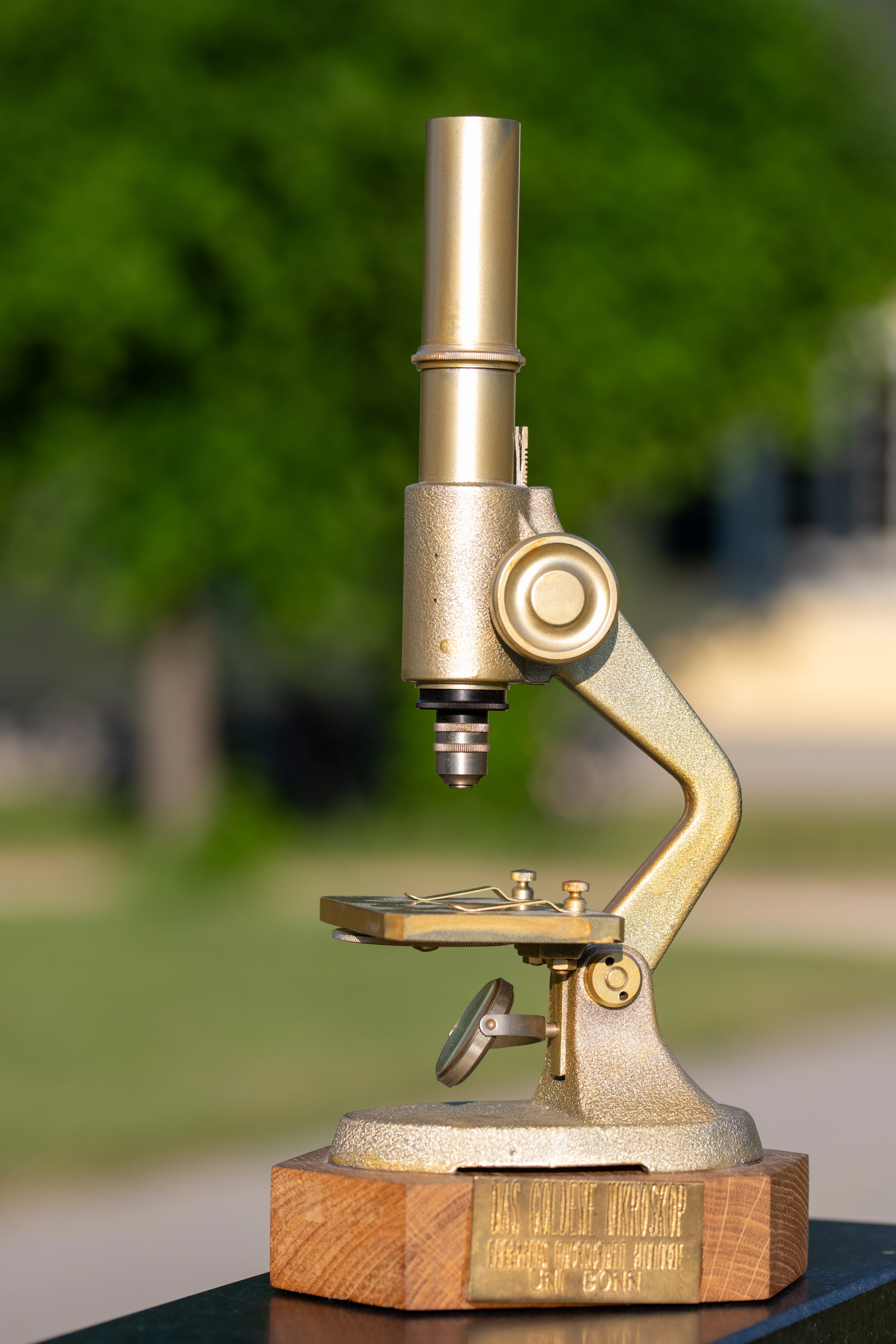Das Goldene Mikroskop